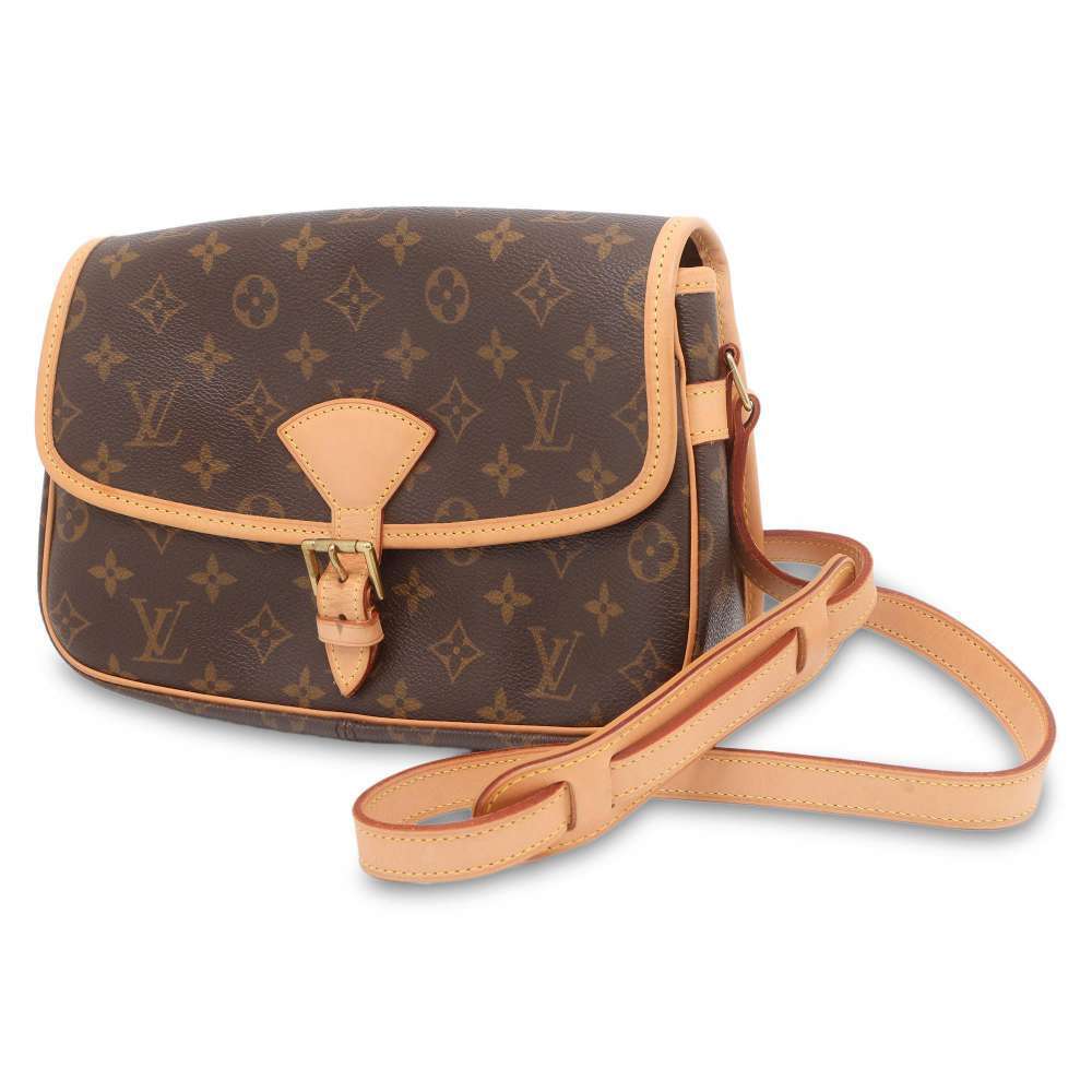Louis Vuitton Shoulder Sologne Monogram Bag - Picture 2 of 12